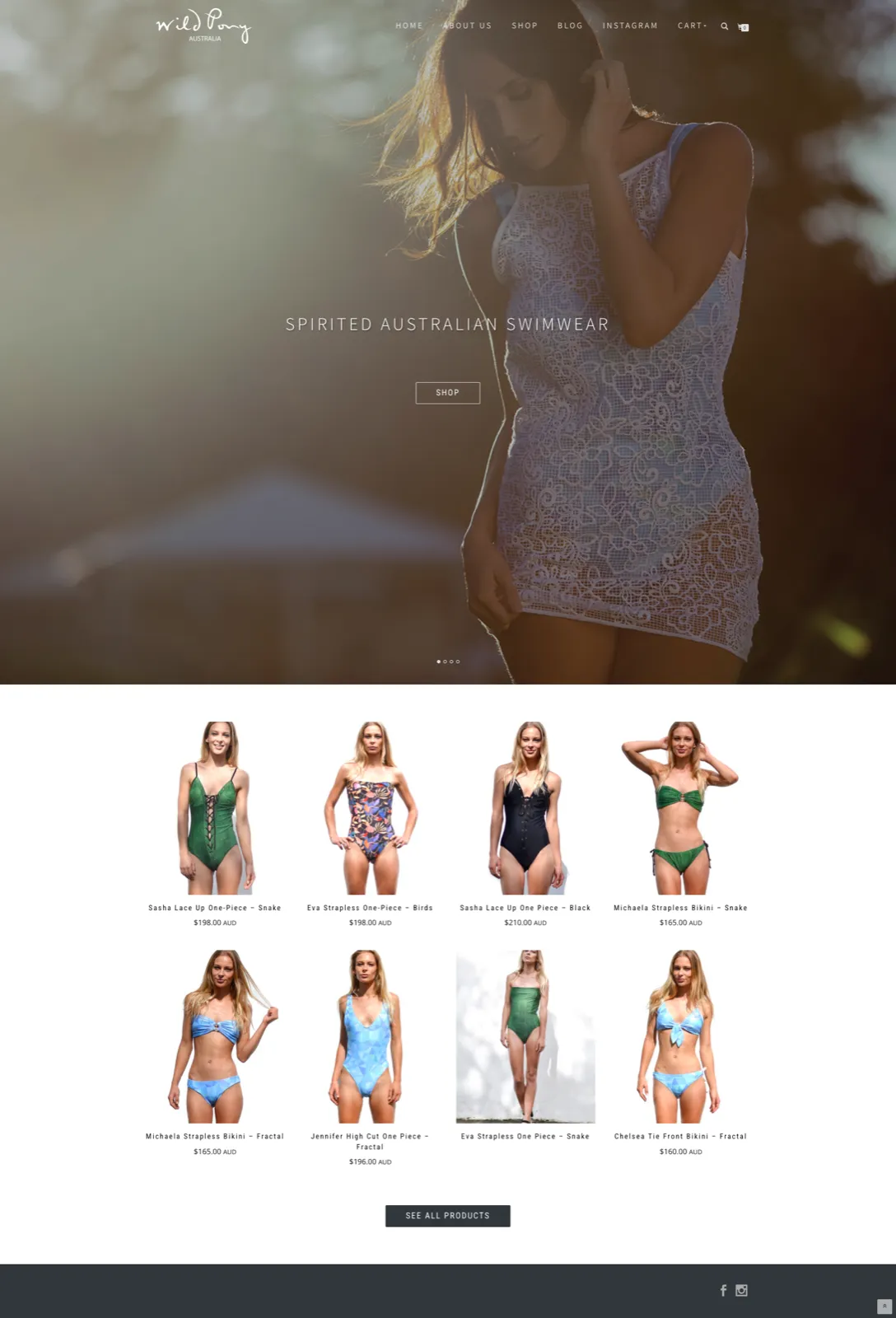 Wild Pony
